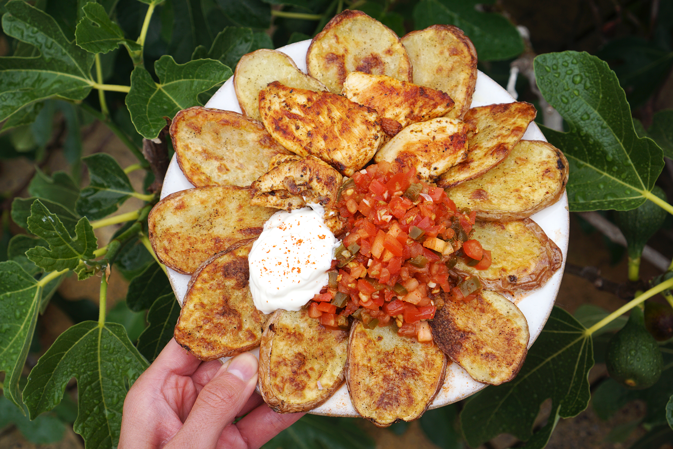 Easy spicy pickled jalapeño salsa with crispy baked potato slices (cottage fries), chicken and yoghurt