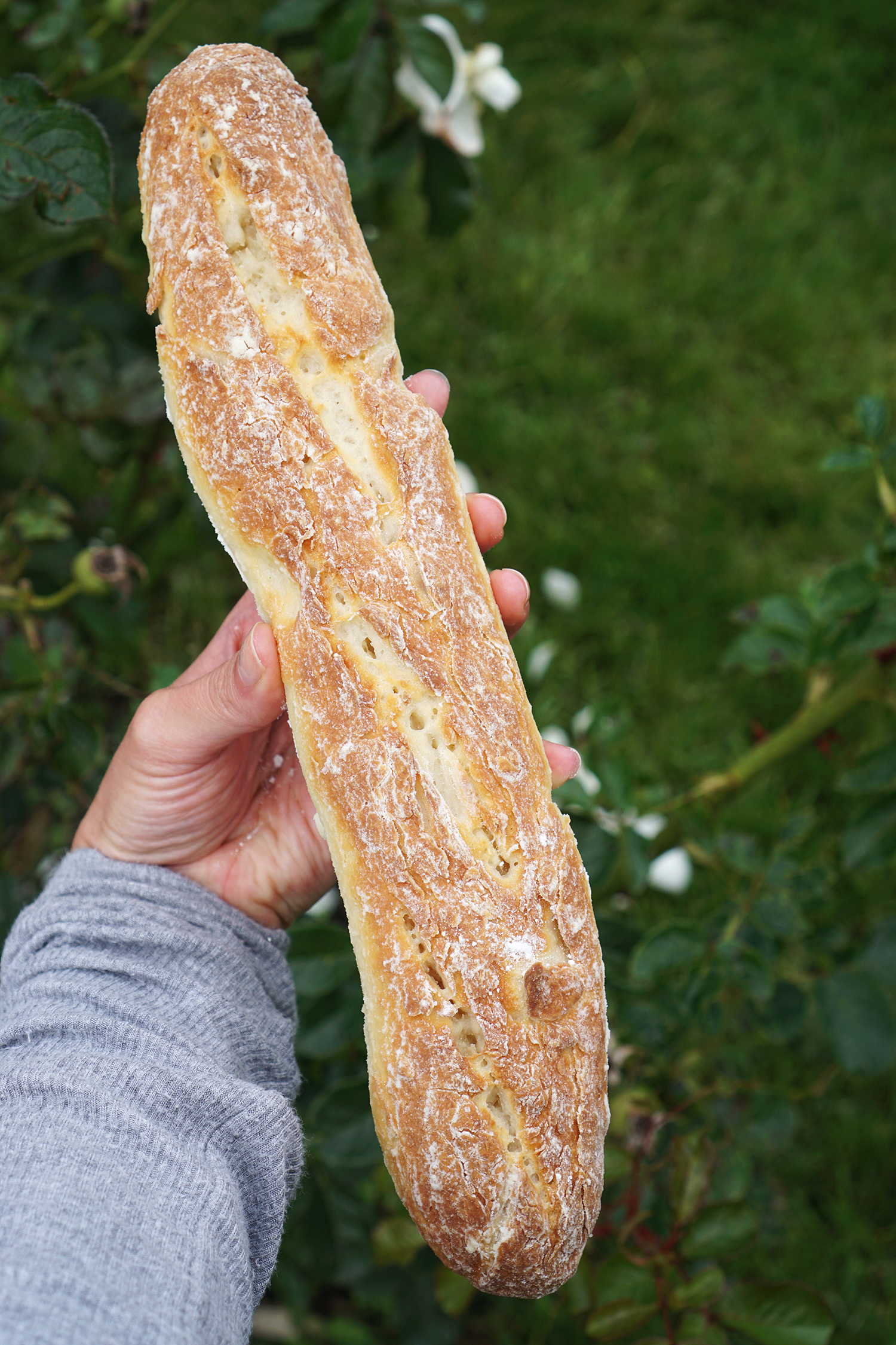 Homemade gluten free French baguette bread