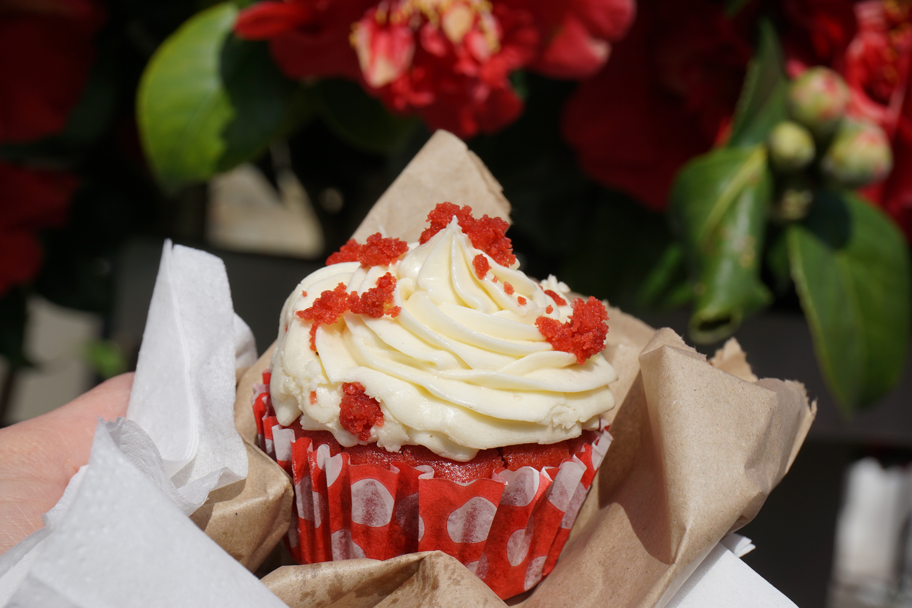 Gluten free red velvet cupcake from Brother Wolf in Nag's Head Market in Holloway - Holloway gluten free cafe